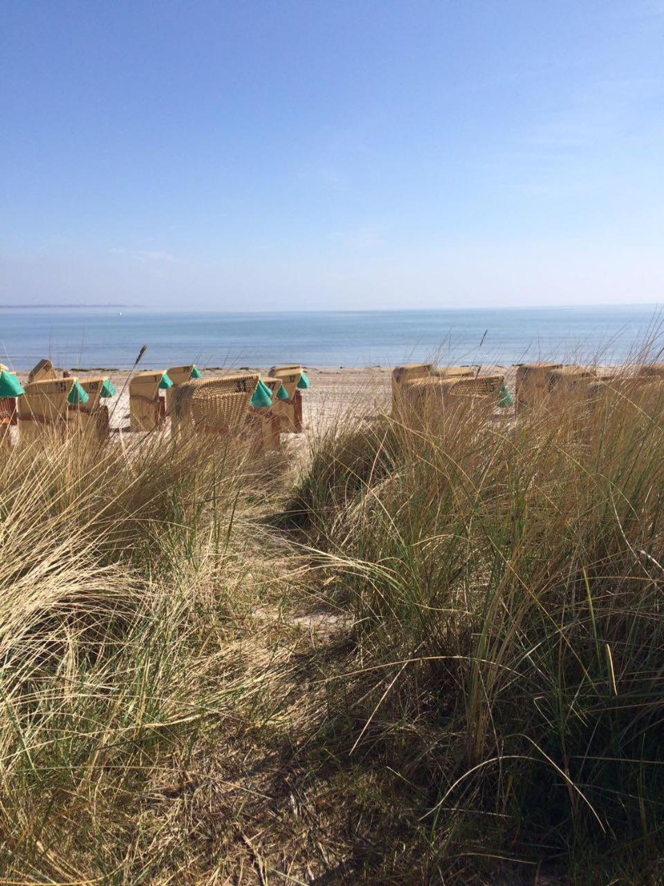 Ter 304 - Terrassenhuegel -Teilseeblick Scharbeutz Eksteriør bilde